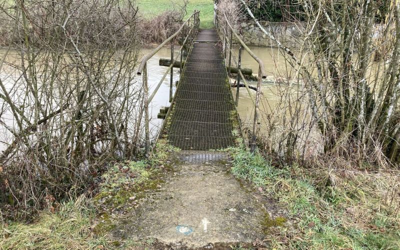 brv, precna, temenica