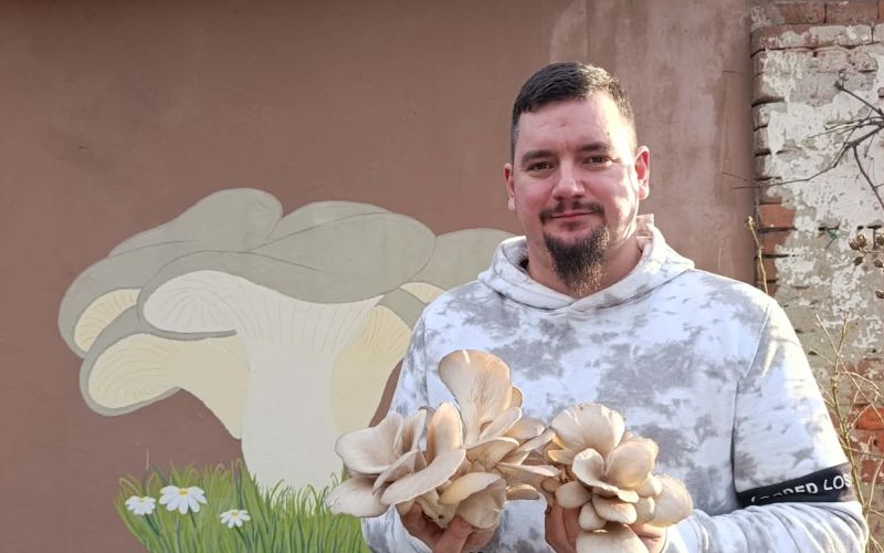 vgrow-mushroom, bukov-ostrigar, ratko-mirković