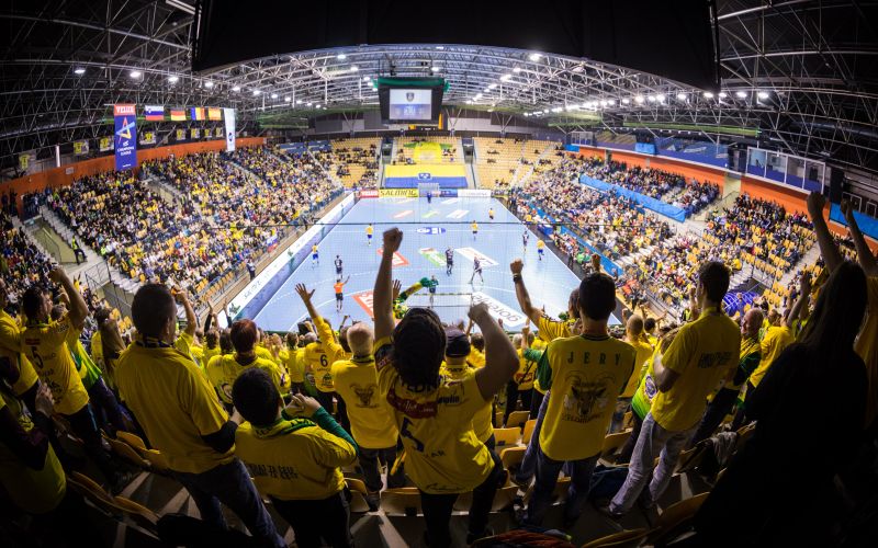 zlatorog navijači.jpg