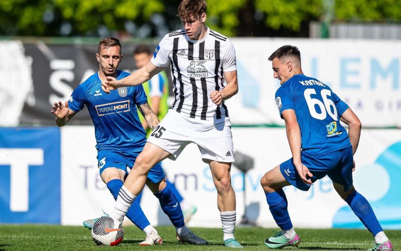 jaka-tetickovic-domjan