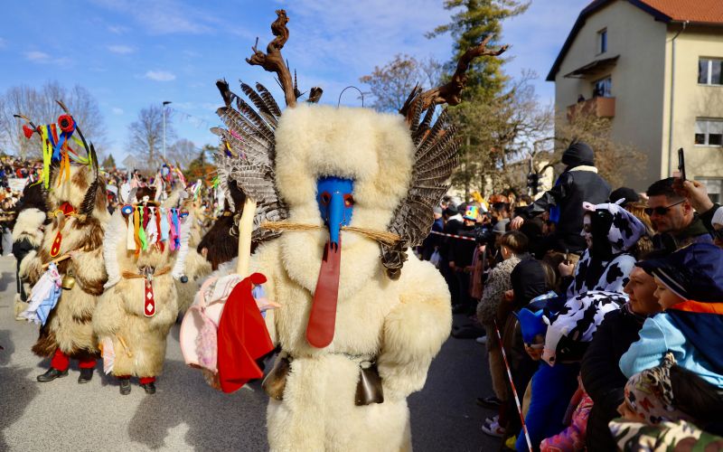 kurentovanje, 66-mednarodna-povorka
