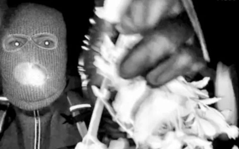 zakrinkani moški, rokavica, nancy guthrie.jpg