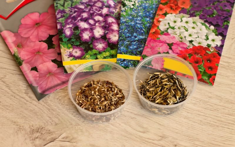 SS naslovna-mar23.jpg