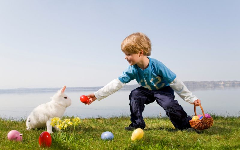 velika noč, zajček, pirhi