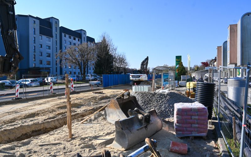 seidlova dela feb 26.jpg