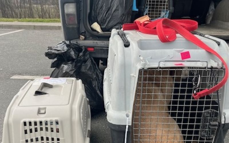 prevoz-zivali, kontrolna-tocka-pince