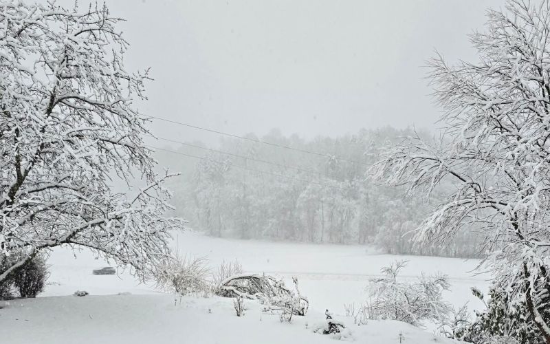 EK_slika sneg cirkulane.jpg