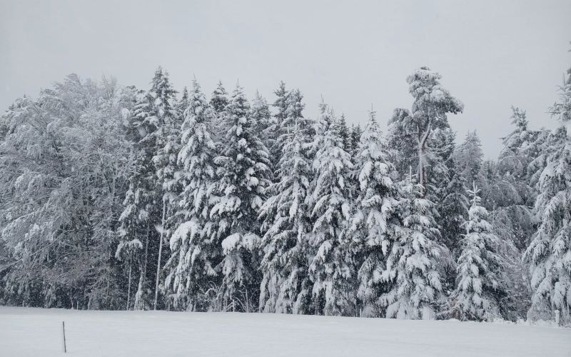 snegolom, obilno-snezenje