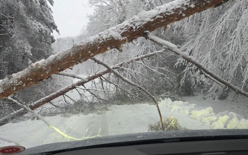 sneg, goričko, grad, križarka, dolič