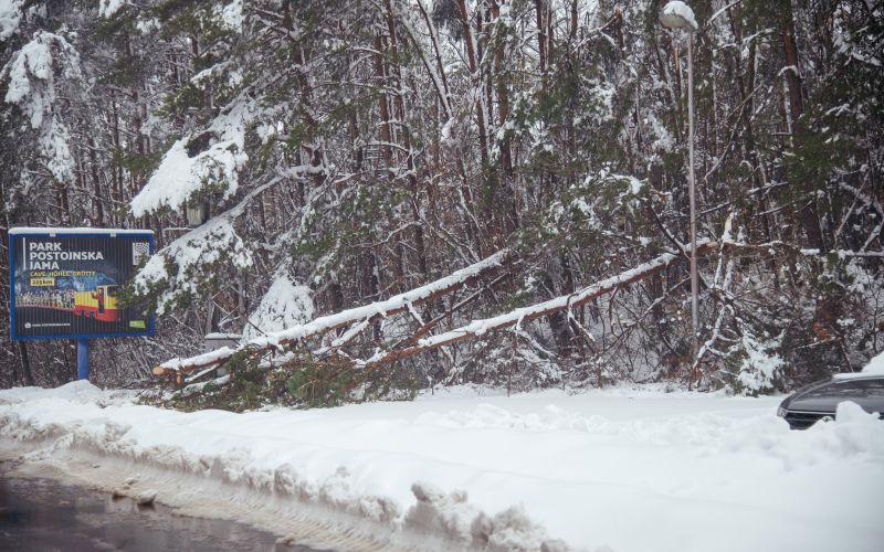 goričko, sneg, podrta-drevesa, podrto-drevje, snegolom