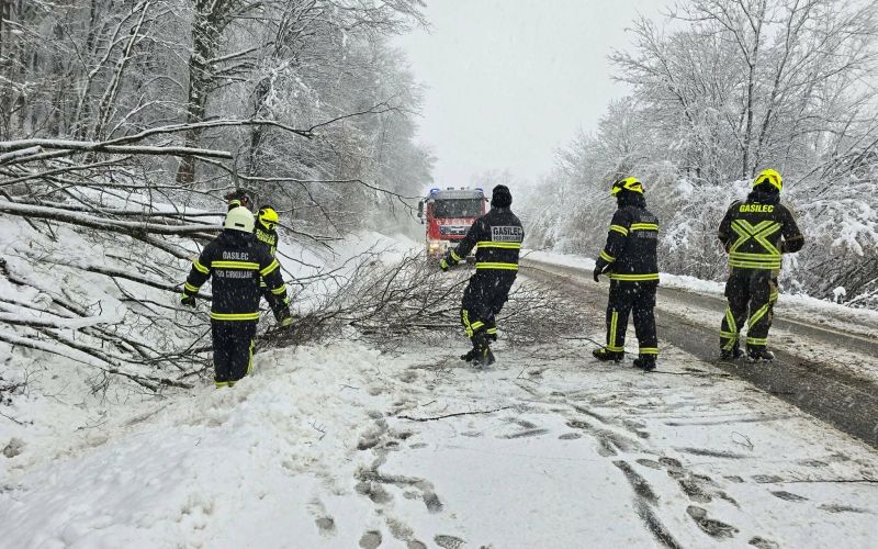 EK_cirkulane sneg1.jpg