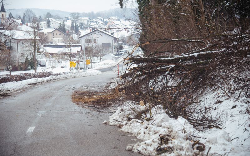 goričko, sneg, podrta-drevesa, podrto-drevje, snegolom