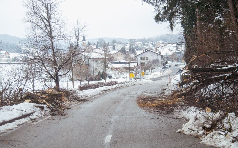 goričko, sneg, podrta-drevesa, podrto-drevje, snegolom