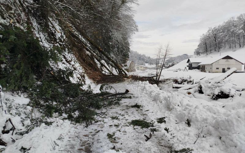 EK_podlehnik snegolom.jpg