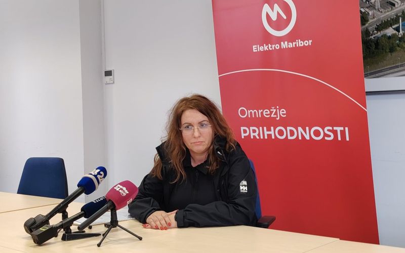 Tatjana Vogrinec Burgar