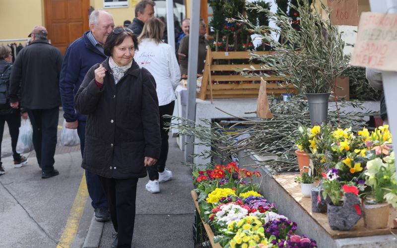 Mestna trznica Celje