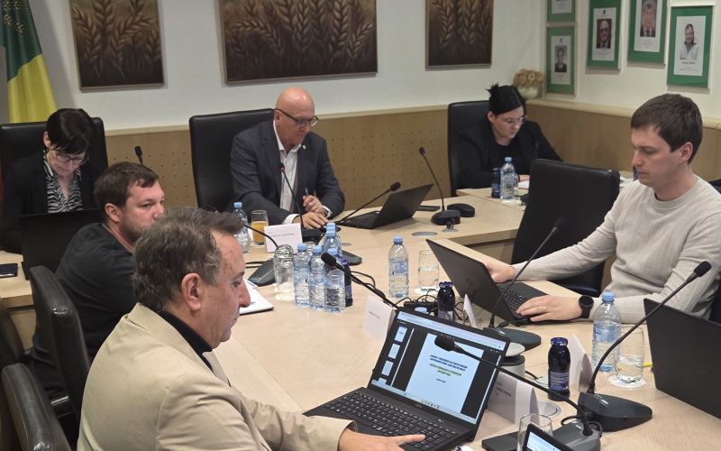 EK_seja starse 1.jpg