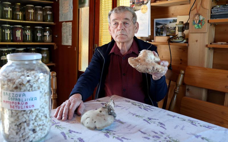 vidic - foto robert balen (1).jpg