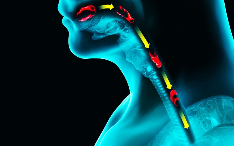 požiranje hrane.jpg