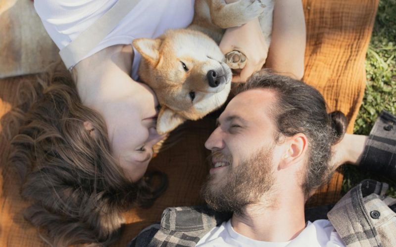 frontpro_zvecljiva_tableta_zascita_pes – kopija.jpg