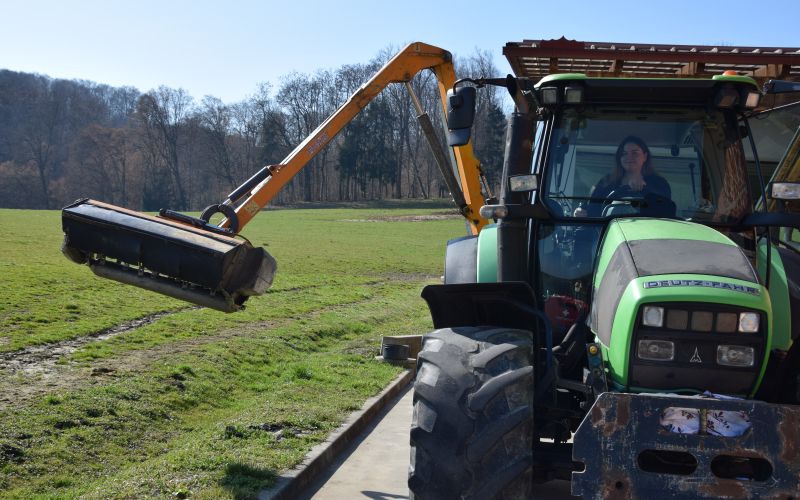 katarina-duh, košnja-trave