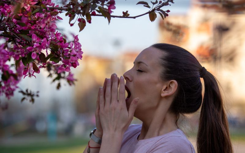 kihanje alergije.jpg