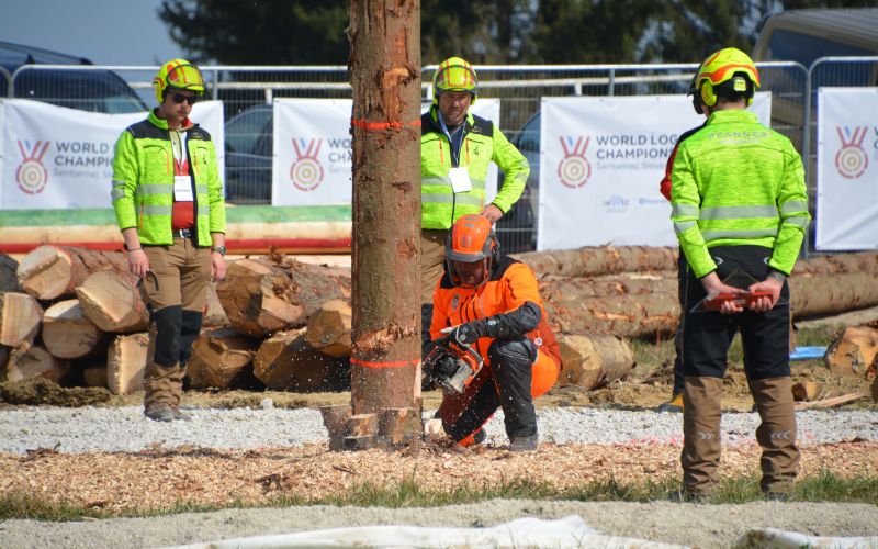 svetovno-gozdarsko-prvenstvo, sentjernej