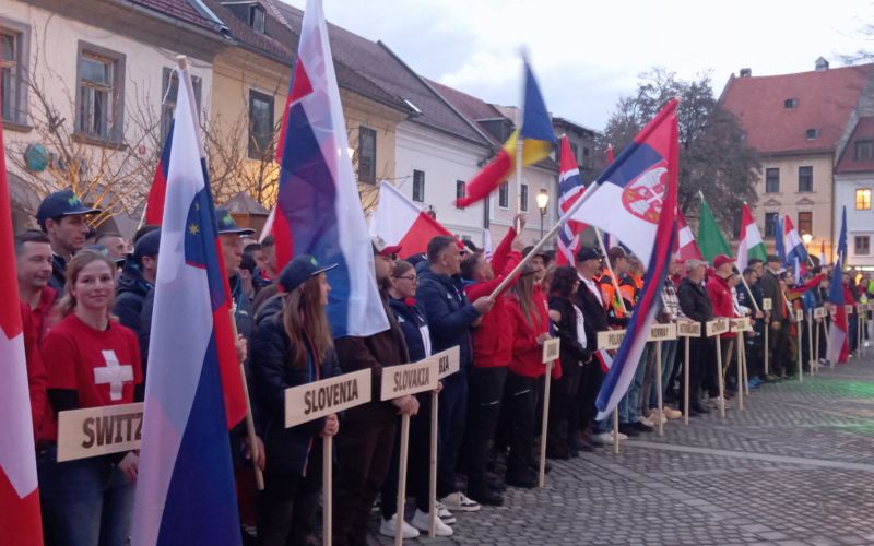 svetovno-gozdarsko-prvenstvo