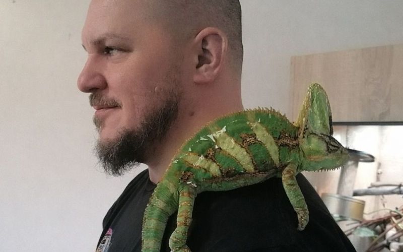 eksoticne-zivali, kuscarji