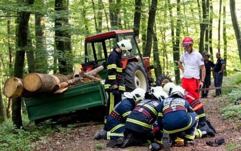 nesreča v gozdu DL.jpeg