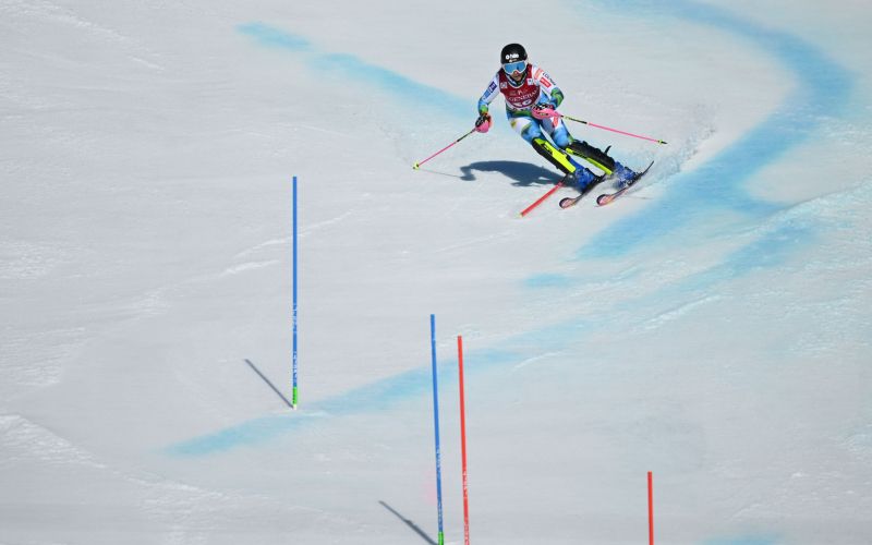 ana bucik jogan pm.jpg