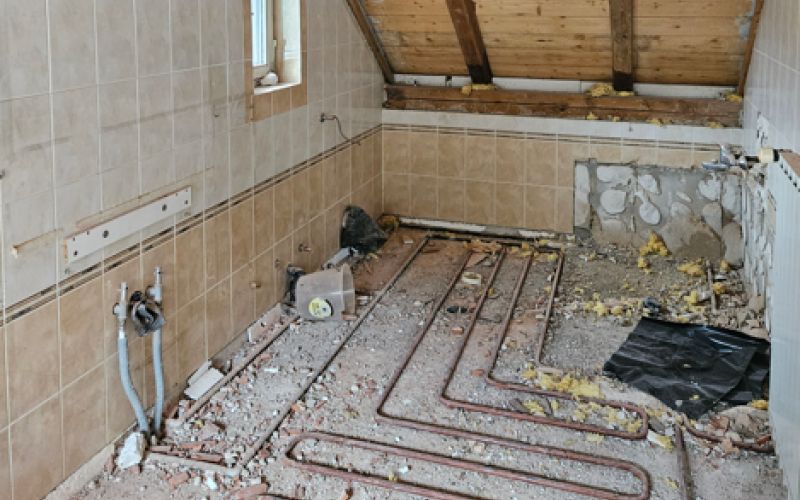 martina-svab-prenova, martina-svab