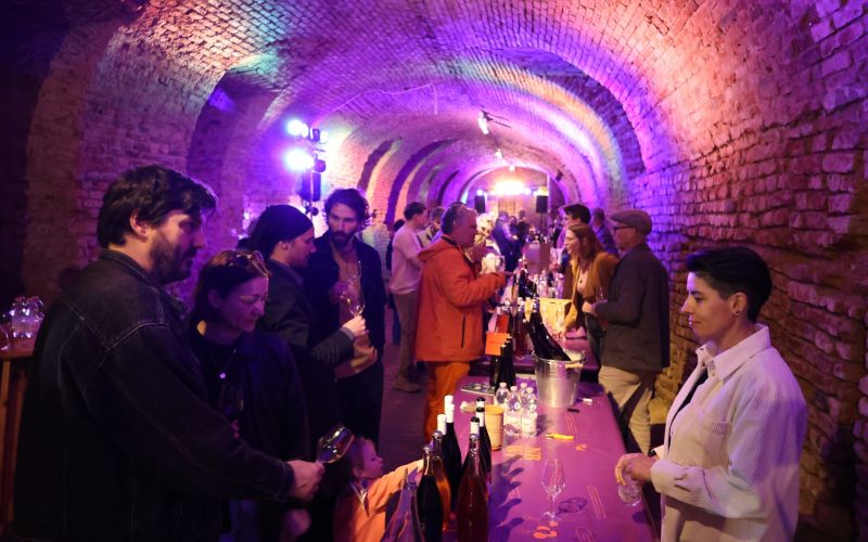 no-border-wine-festival, lendava, festival-vina