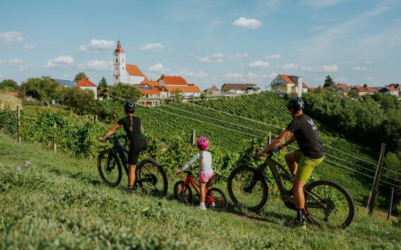 hb_Slovenske gorice1-največja.jpg