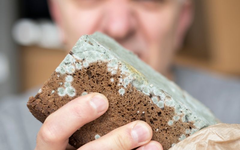 zatohel-vonj, plesen