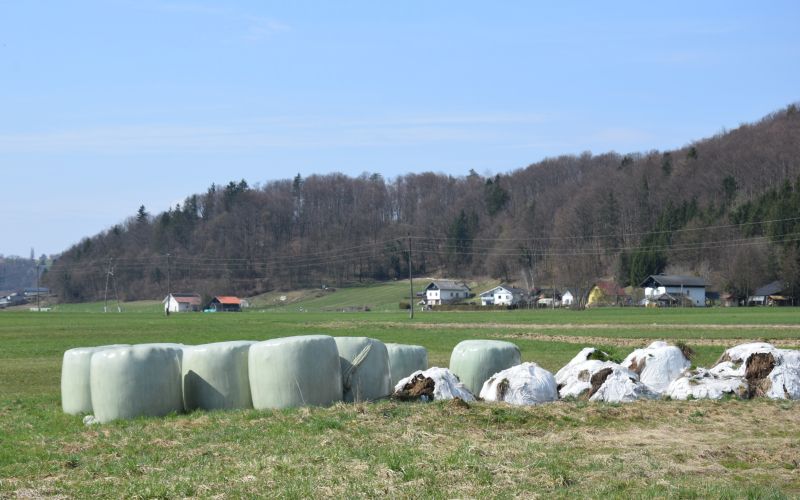 mv-pravilnik podlehnik 1.JPG