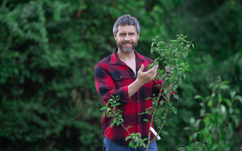 ponos lastnika drevesa