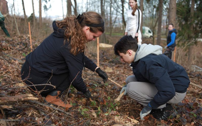 gimnazija-novo-mesto, 280-let, 280-dreves