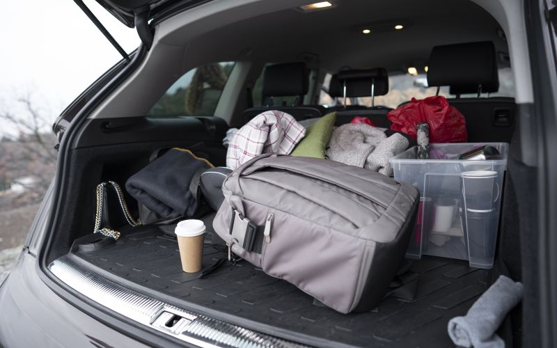 prtljažnik, prtljaga