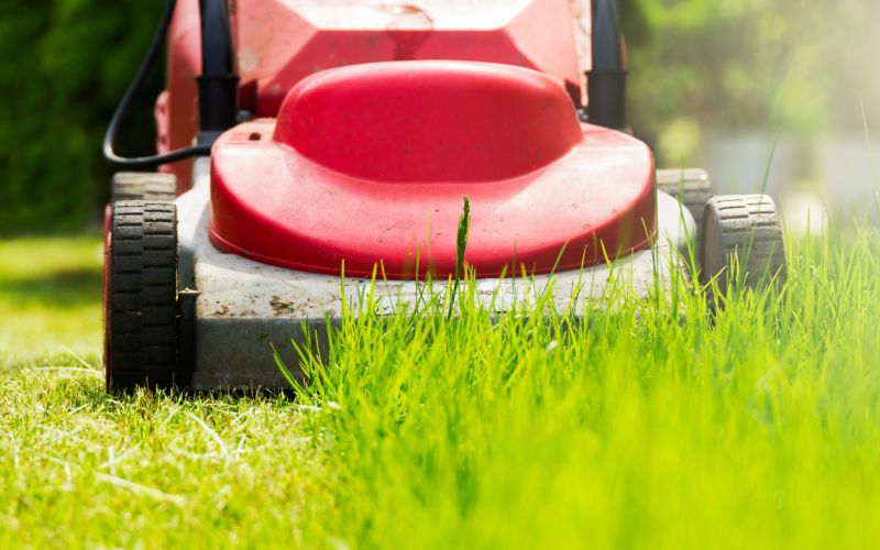 kosnja-trave, kosilnica