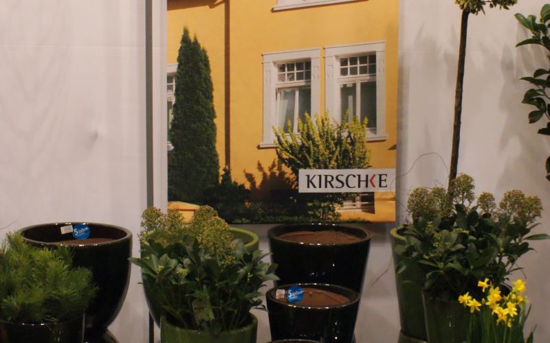 rastline za balkone 5