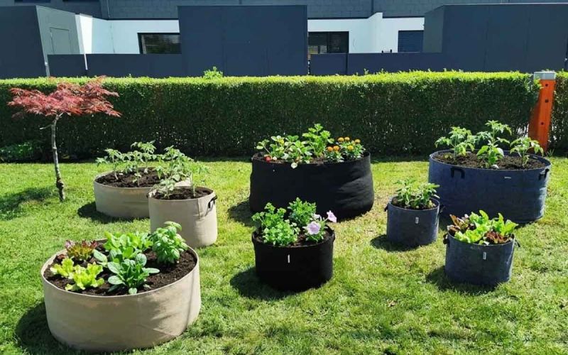 visoke grede, organski način