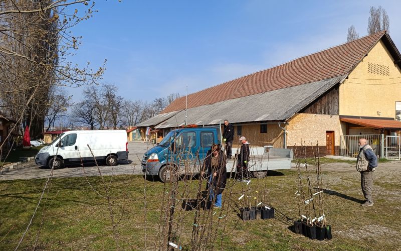 čebelarstvo, medovite rastline