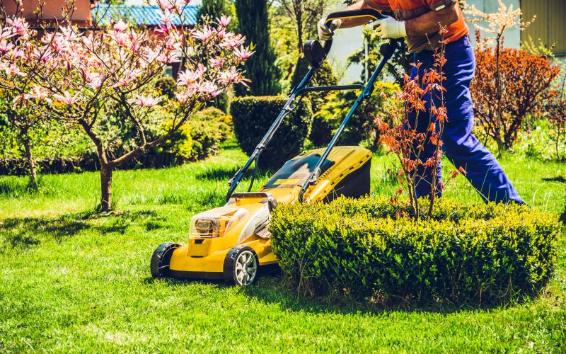 kosnja-trave, kosilnica