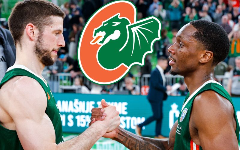 nikolic gibson (2).jpg