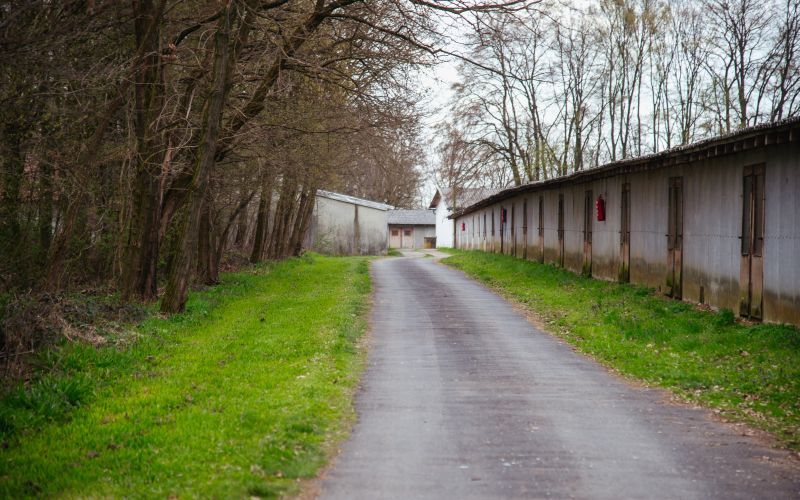 fazanerija-ganačani-beltinci, nova-lokacija-romov, vzorčna-romska-vas