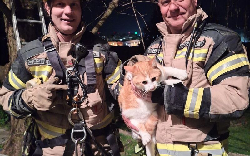 macek-na-drevesu, pge-krsko