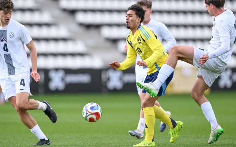 slovenija - svedska pm.jpg