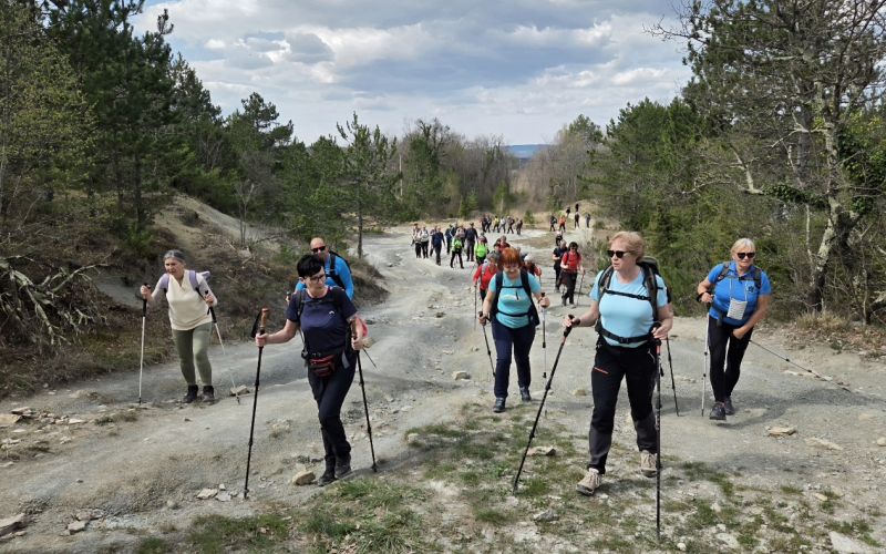du-dolenjske-toplice, buzet