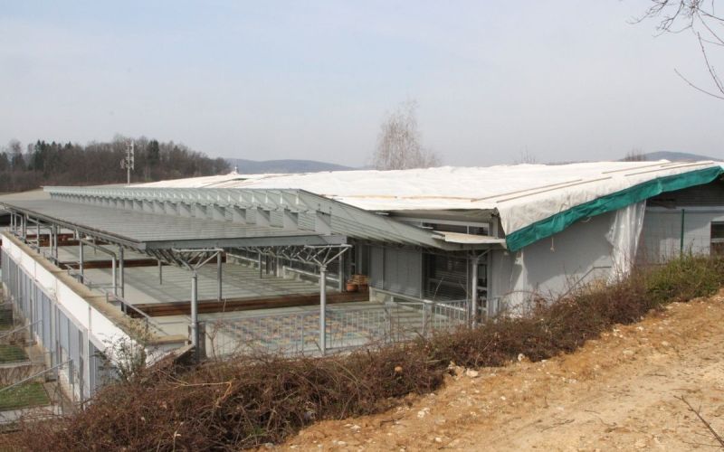 oš drska marec 26.jpeg